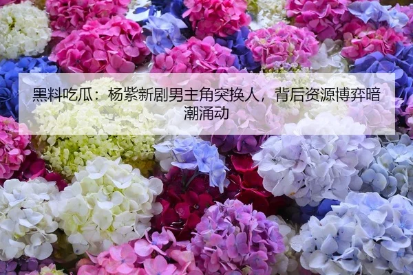 hei-liao-chi-gua-yang-zi-xin-ju-nan-zhu-jue-tu-huan-ren-bei-hou-zi-yuan-bo-yi-an-chao-yong-dong-1-585.jpg